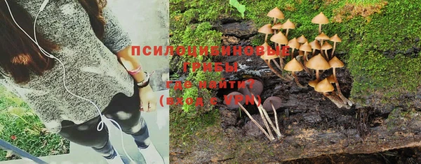 не бодяженный Касимов