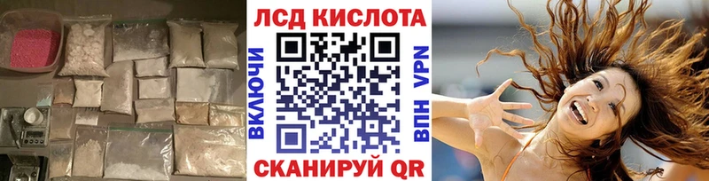LSD-25 экстази кислота  блэк спрут как зайти  Котельнич 