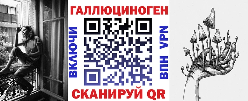 Псилоцибиновые грибы Magic Shrooms  blacksprut ССЫЛКА  Котельнич 